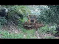 Repairing Oil Palm Plantation Roads with CAT D6R XL