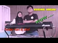 Download Lagu KUCING ANGOB-SESHIN-JEMBRONG BEKEN