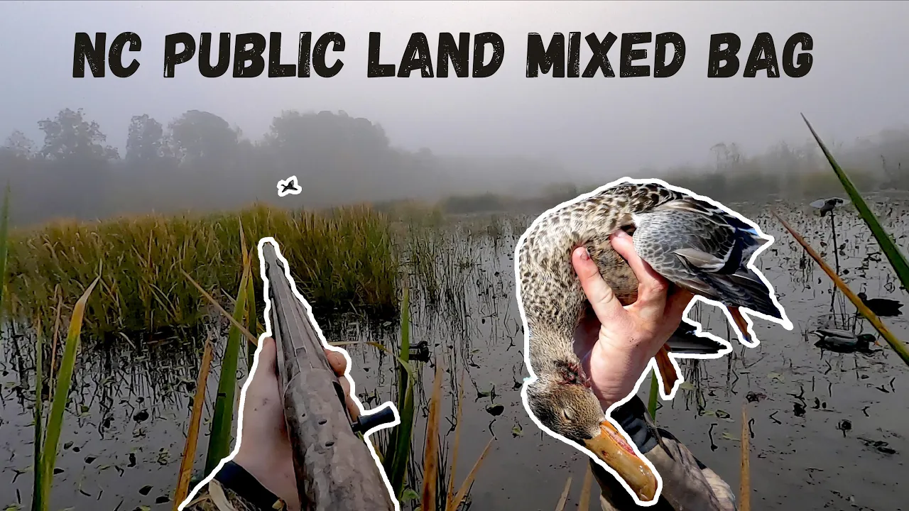 DUCK HUNTING 2020 - North Carolina OPENING DAY (Public Land)