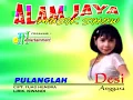 Pulanglah - Desi Anggara