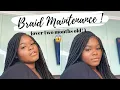 HOW TO REFRESH AND MAINTAIN YOUR BOX BRAIDS w NO FRIZZ OVER 2 MONTHS OLD PROTECTIVE STYLE