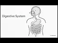 Grade 7 Life Science U01 L06 Human Body Systems Application Task