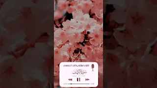 قرآن كريم بصوت مشاري راشد العفاسي حالات واتس اب دينيه سورة الكهف مشاري راشد العفاسي حالات واتس قران 