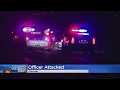 Greeley Police Michael Zamarron Got Out Of Handcuffs In Patrol Car Fought For Gun Before Shot Was