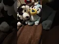 McKenzie and bluey plush