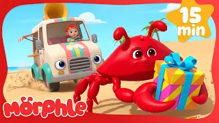 Winston and Orphle Chase the Surprise Box! 🎁✨ | Fun Animal Cartoons