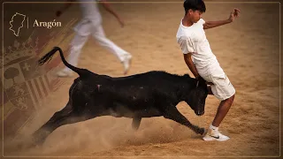 Vaquillas Feria de Calamocha 2026