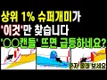 Lagu [시초가매매] 상위 1% 슈퍼개미들은 미친듯이 '이것'만 찾습니다. 실제로 '○○캔들' 다음으로 9할은 급등하는 것 같습니다.｜차트! 세력! #주가전망
