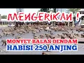 Download Lagu MENGERIKAN !! MONYET BALAS DENDAM HABISI 250 ANJING DI INDIA