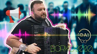 borko radivojevic zvucni udar