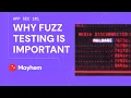 Why Fuzz Testing is Important for Application Security