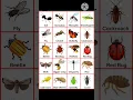 Download Lagu Insect name in english| insects name #english #insects #shorts