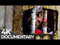 Behind Bars CPDRC Philippines World s Toughest Prisons Free Documentary