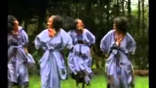 Ibro Ibsa Nin Deema Wollo Oromo Music  Ibro Ibsa Nin Deema Wollo Oromo Music