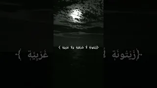 الله نور السموات والارض بصوت بنت Shorts 