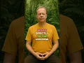 Lagu Zeg vandaag 28 september tegen het universum: verander je realiteit | Dr. Joe Dispenza #drjoedisp...