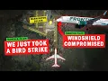 Frontier Airbus has BIRD STRIKE Before Landing Windshield Damaged