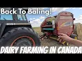 Download Lagu Baler Issues and Swathing Barley!