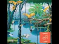 Orca - Durante
