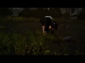 All 5 Yellow frog Locations - The Professor s Protege Find 5 Yellow Frogs