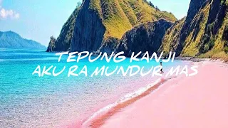 Download AKU RA MUNDUR MAS - TEPUNG KANJI ( LIRIK KAGU VIRAL DI TIKTOK 2020) MP3