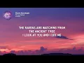 Fijord Moonlight - Draugr Beatz (Lyrics) TikTok Version