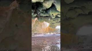 Exploring a Secret Bahamas Cave 🏝️
