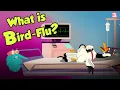 Download Lagu What Causes Bird Flu? | BIRDFLU Pandemic | Virus | Dr Binocs Show | Peekaboo Kidz