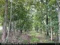 Homes for Sale - 00 SEVEN STARS ROAD MILLERSTOWN PA