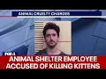 shows Weatherford animal shelter employee killing several kittens police say