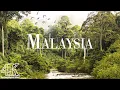 Download Lagu Malaysia 4K Ultra HD • Stunning Footage Malaysia | Relaxation Film With Calming Music - 4k Videos