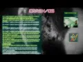 Jam with new CrashOs - livecoding music with FoxDot Python and visuals with OpenFrameworks c