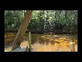 699 Oil Well Rd Flomaton AL 36441