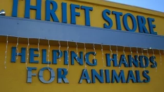 Helping Hands for Animals Craigslist series