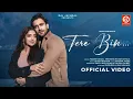 Download Lagu Tere Bin Song | Javed-Mohsin | Yasser Desai, Sireesha | Rashmi Virag | Zayn Ibad Khan, Khushi Dubey
