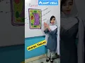 Plant cell Diagram of plant cell student presentation in class painting for science