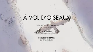 A VOL D'OISEAUX | Bande Annonce Officielle HD | Gebeka Films