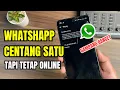 Download Lagu Cara Membuat WhatsApp Centang 1 Tapi Online