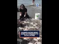 Warmer waters bring surge of stingrays to SoCal shores
