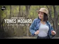 Download Lagu YOWES MODARO - AFTERSHINE | ELNO VIA (Reggae SKA Verson)
