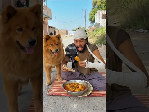 Dog NY help kr Di #prayer #emostional #viralvideo
