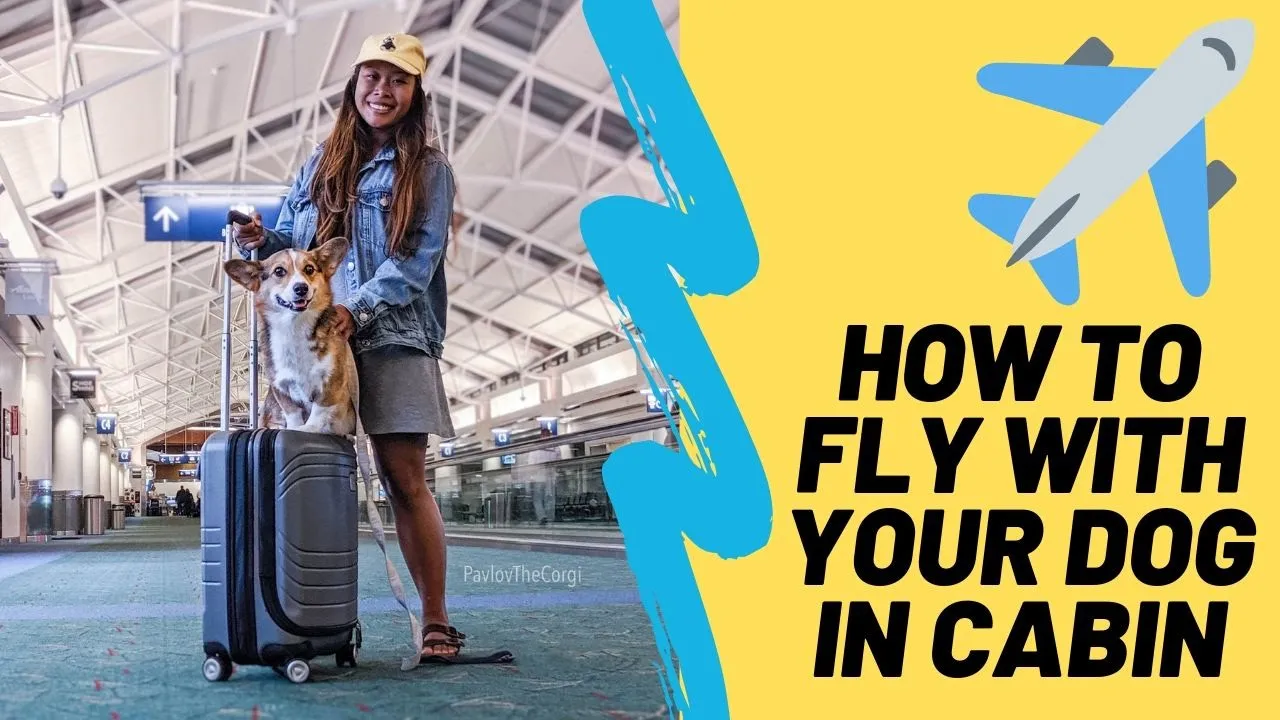 5 Best Ways To Fly To Hawaii With Points + Miles