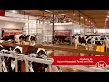Download Lagu Lely Dairy XL - Horsens Homestead Farms Barn Tour