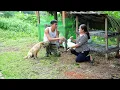 Download Lagu Kind CEO and homeless woman take care of pets together.trieu long