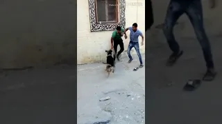 يااندال ياولاد الفاجره 