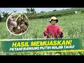 Download Lagu CARA PERAWATAN BAWANG PUTIH DARI AWAL SAMPAI PANEN ‼️ HASIL TANAMAN MEMUASKAN ‼️