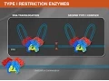 What is a Type I Restriction Enzyme