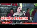 Download Lagu NEMBE KETEMU ~ DEVI ADINDA // CITRA NADA LIVE DESA SALAREUMA (BLOK PUHUN) // CIPICUNG - KUNINGAN