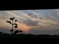 Download Lagu Story wa! 10 detik, selamat pagi Dunia Tipu tipu .