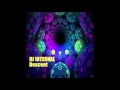 DJ Internal - Descent